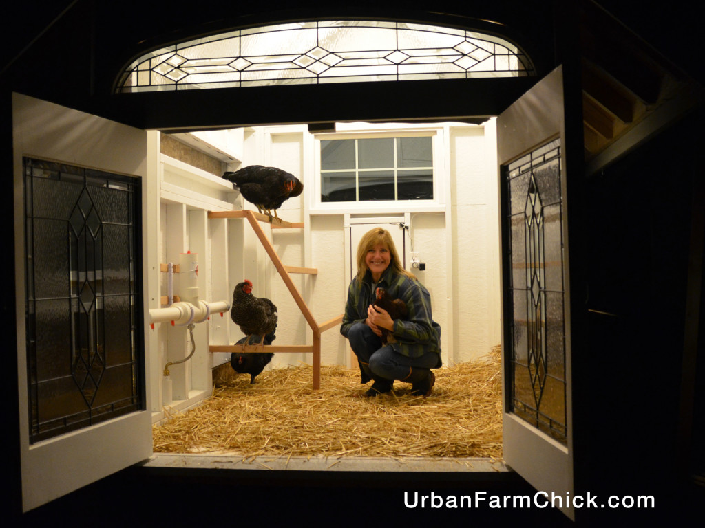 The Urban Farm Chick and her girls